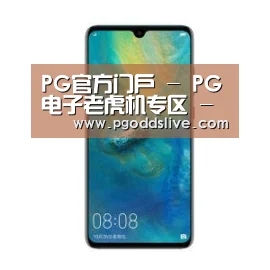 华为无线快充手机