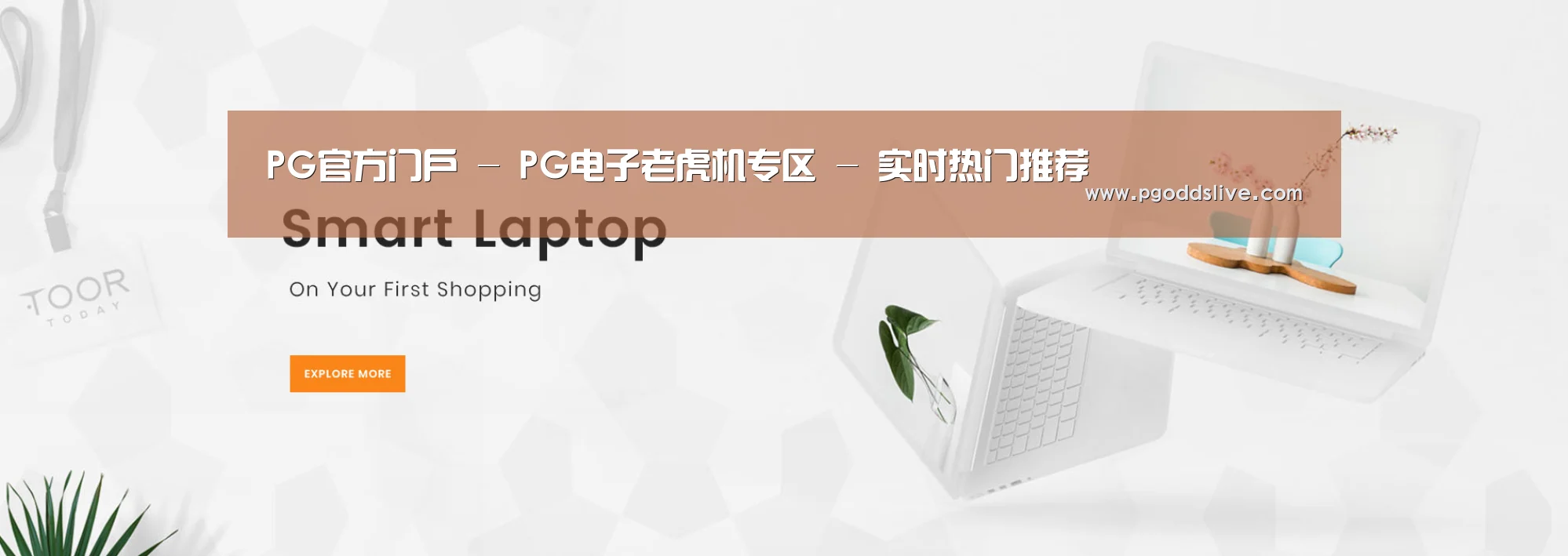 某某网络科技有限公司