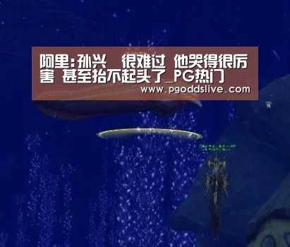 阿里:孙兴慜很难过 他哭得很厉害 甚至抬不起头了_PG热门(图3) PG官方