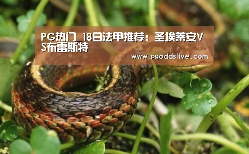 PG推荐