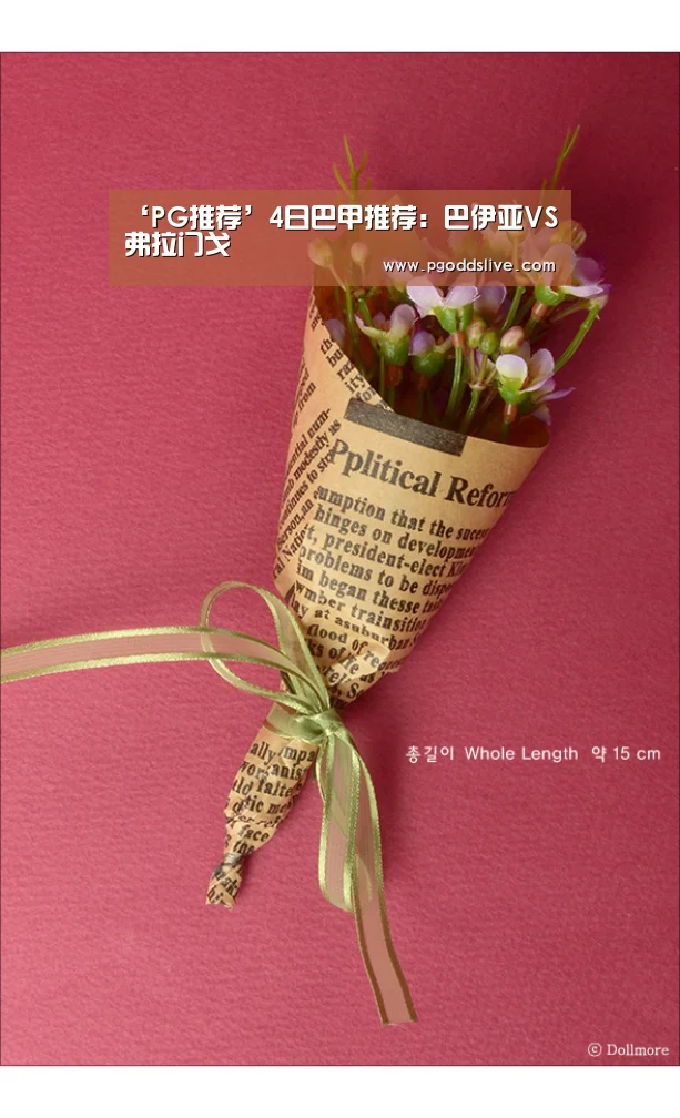 ‘PG推荐’4日巴甲推荐:巴伊亚VS弗拉门戈(图1) PG热门