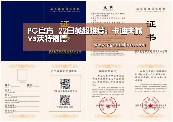 PG官方-22日英超推荐:卡迪夫城vs沃特福德(图2) PG热门