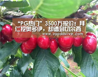 “PG热门”3500万报价!拜仁挖奥多伊,却遭到切尔西阻扰(图4) PG官方