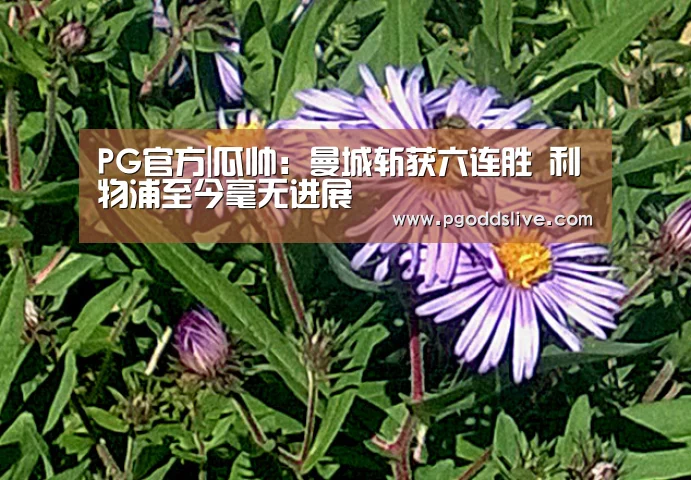 PG官方|瓜帅:曼城斩获六连胜 利物浦至今毫无进展(图2) PG热门