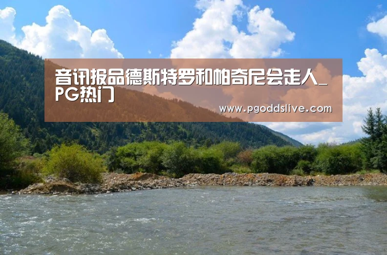 音讯报品德斯特罗和帕奇尼会走人_PG热门(图2) PG推荐