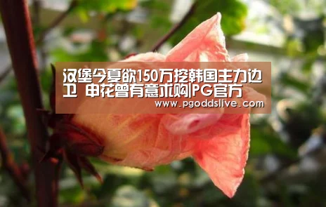 汉堡今夏欲150万挖韩国主力边卫 申花曾有意求购|PG官方(图1) PG推荐