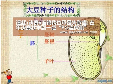 渣叔:决赛6连跪我也不是失败者!去年决赛我学到一点“PG老虎机”(图2) PG热门