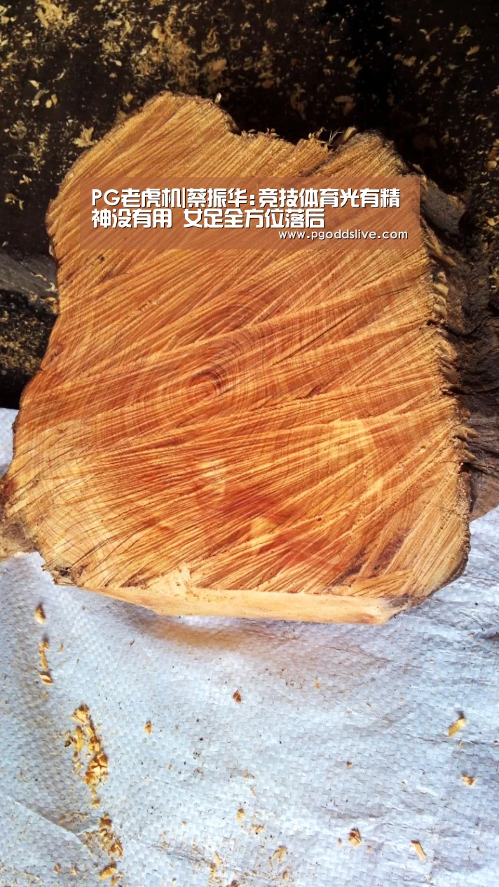PG老虎机