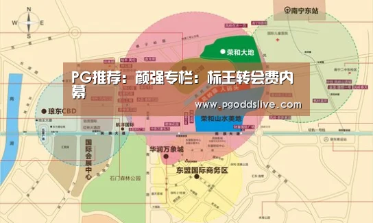 PG推荐:颜强专栏:标王转会费内幕(图3) PG推荐
