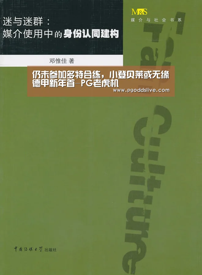 仍未参加多特合练,小登贝莱或无缘德甲新年首-PG老虎机(图1) PG官方